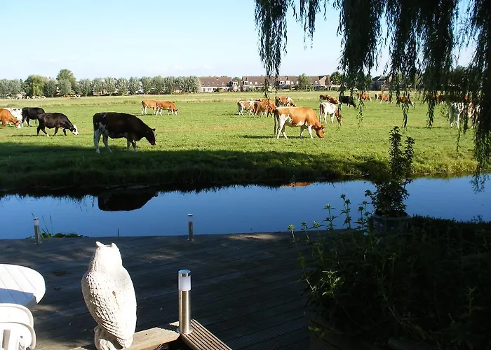 B&B-Edam