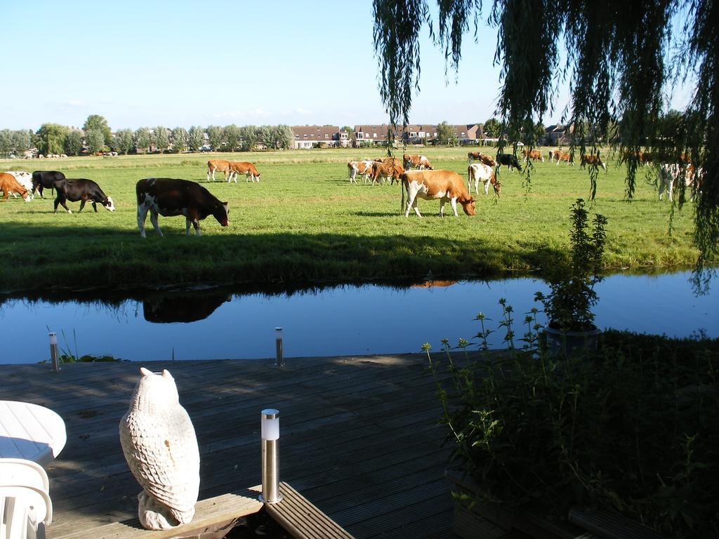 B&b-edam Couette-café